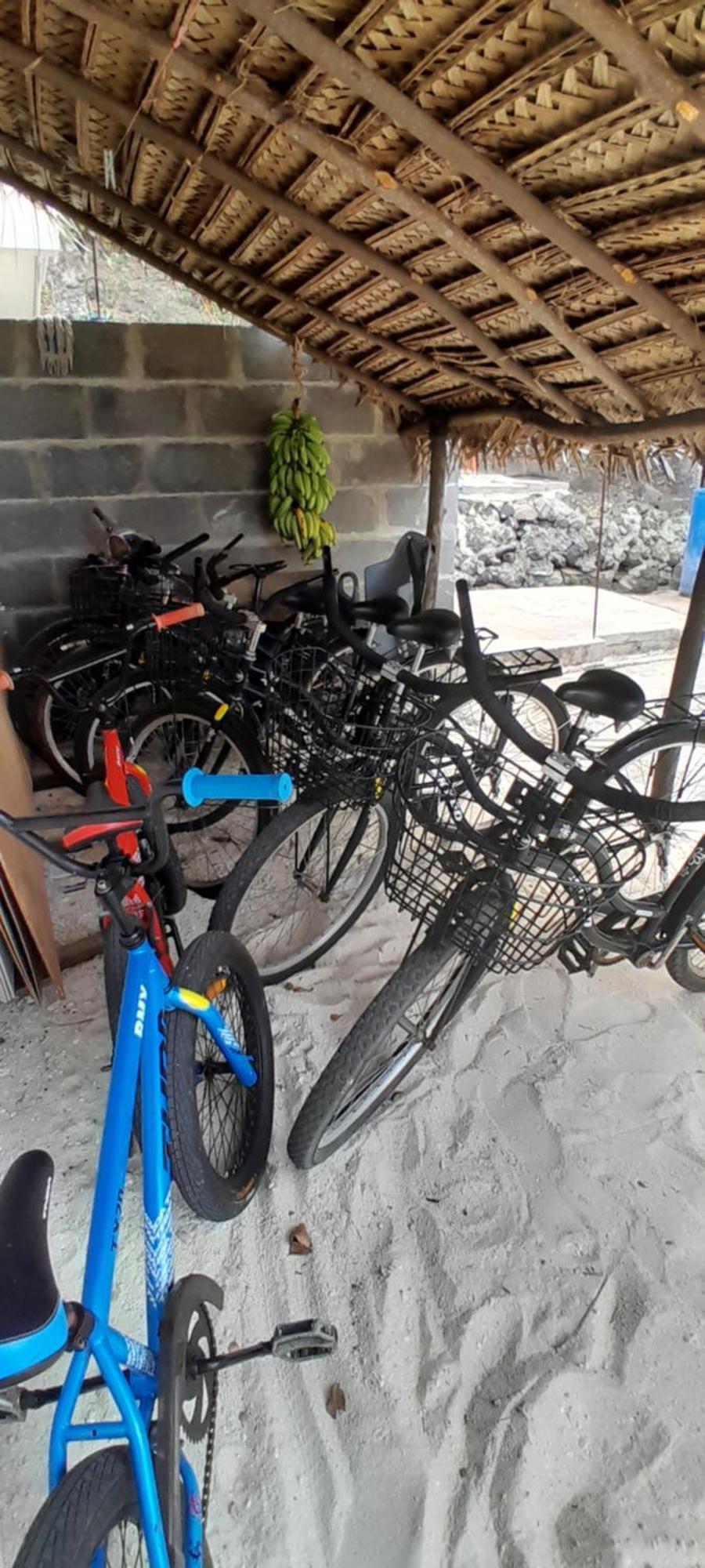 شقة Penu Maurua Te-Fare-Arii المظهر الخارجي الصورة